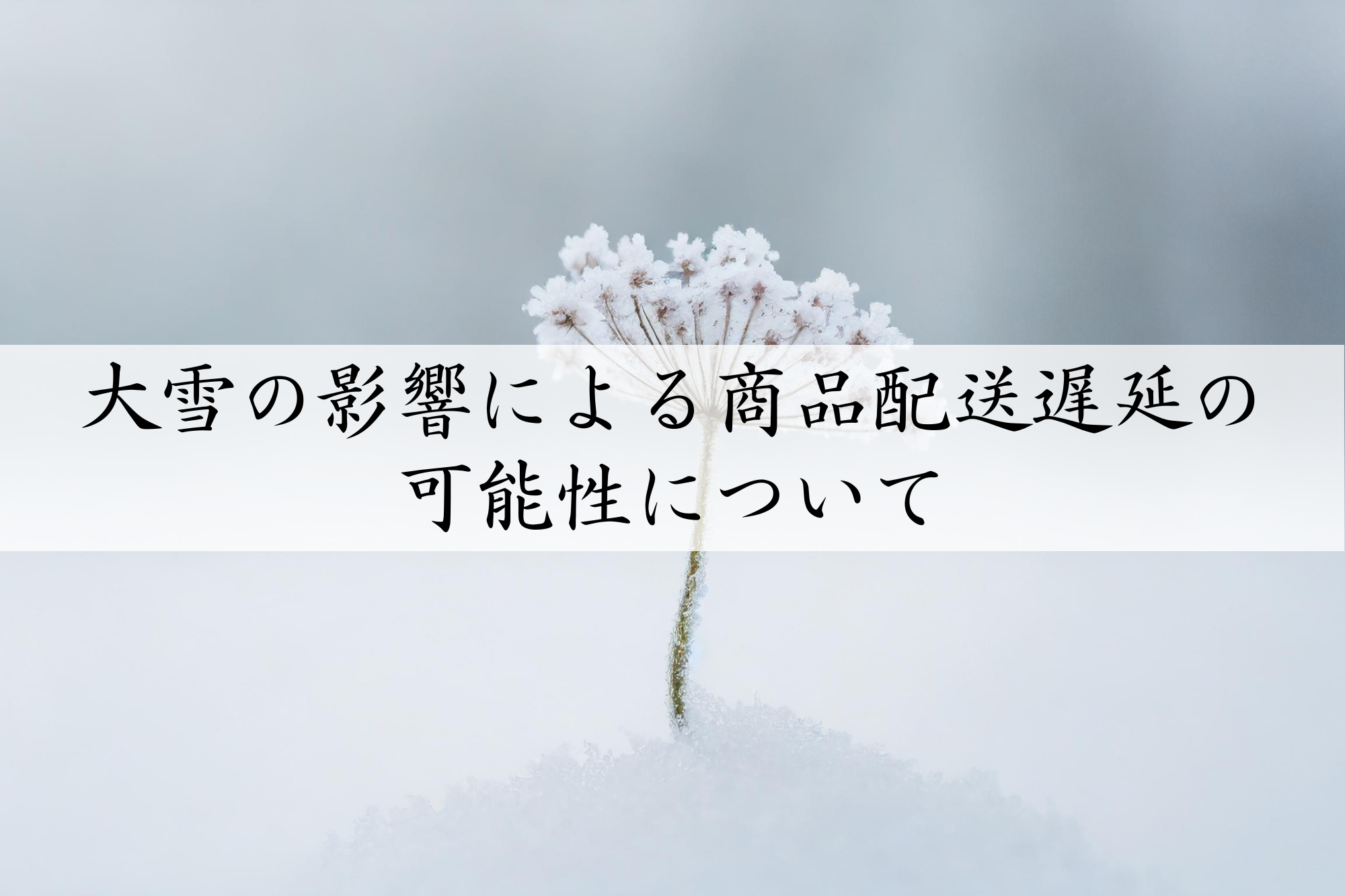 大雪の影響による商品配送遅延の可能性について